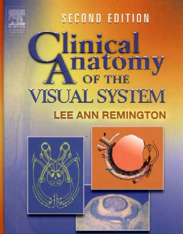 Clinical Anatomy of the Visual System Cover Image