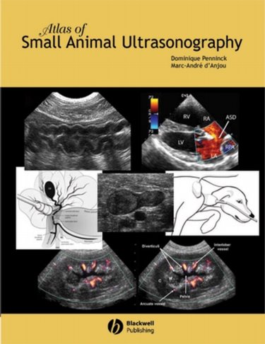 Atlas of Small Animal Ultrasonography Cover Image