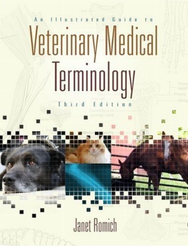 Illustrated Guide to Veterinary Medical Terminology. Text with CD-ROM for Windows Cover Image