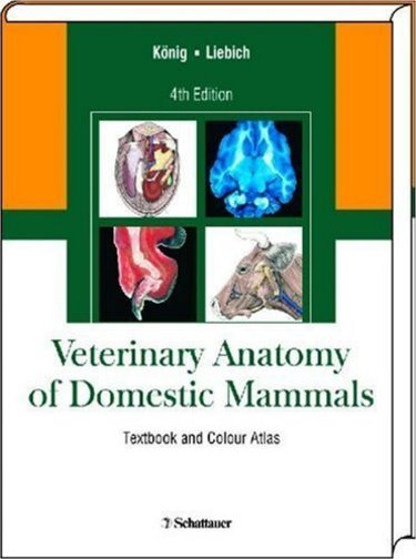 Veterinary Anatomy of Domestic Mammals: Textbook and Colour Atlas Cover Image
