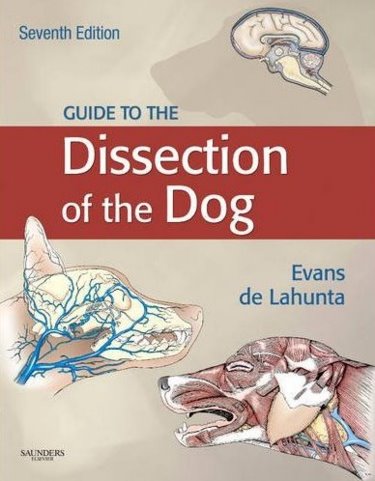 Guide to the Dissection of the Dog Cover Image