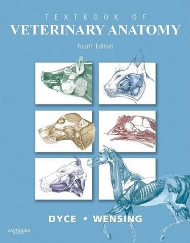 Textbook of Veterinary Anatomy Cover Image