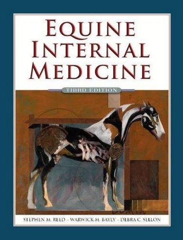 Equine Internal Medicine Package. Includes Internet Access Codes for Veterinary Consult Edition and Online eBook Library Cover Image