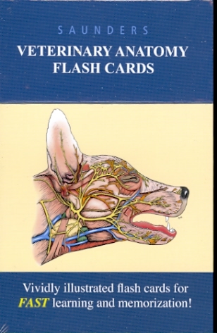 Saunders Veterinary Anatomy Flash Cards: Vividly Illustrated Flash Cards for FAST Learning and Memorization! Cover Image