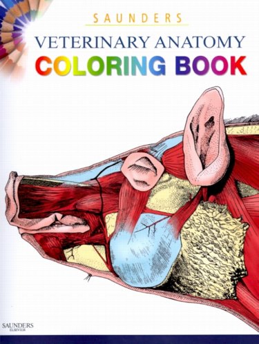 Saunders Veterinary Anatomy Coloring Book Cover Image