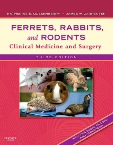 Ferrets, Rabbits, and Rodents: Clinical Medicine and Surgery: Includes Sugar Gliders and Hedgehogs Cover Image