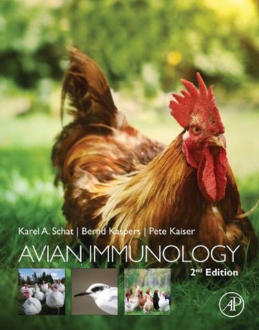 Avian Immunology Cover Image