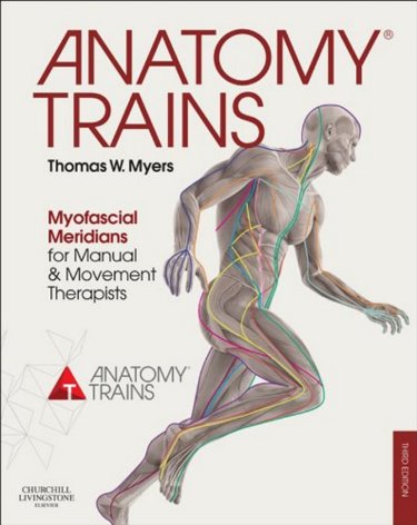 Anatomy Trains: Myofascial Meridians for Manual and Movement Therapists Cover Image