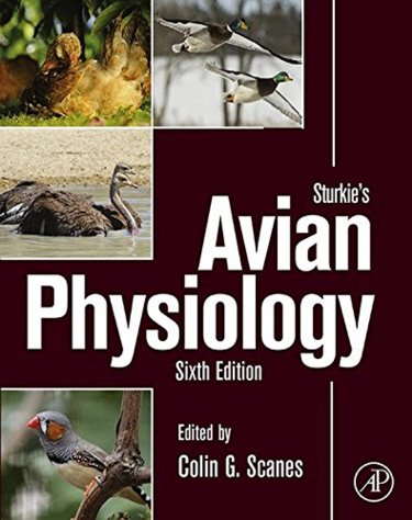 Sturkies Avian Physiology Cover Image
