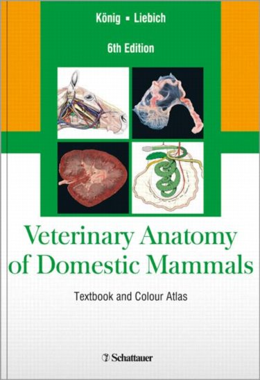 Veterinary Anatomy of Domestic Mammals: Textbook and Colour Atlas Cover Image