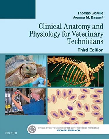 Clinical Anatomy and Physiology for Veterinary Technicians Cover Image