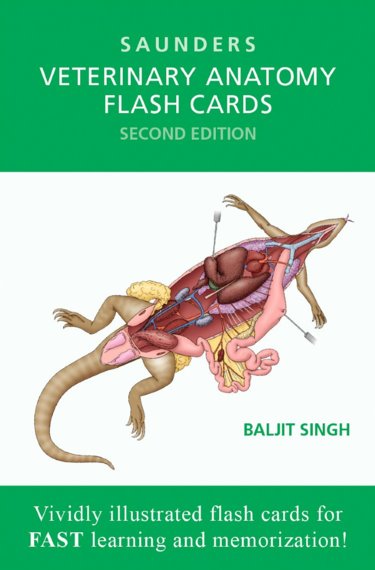Saunders Veterinary Anatomy Flash Cards Cover Image
