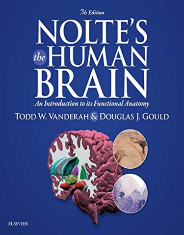 Noltes the Human Brain: An Introduction to Its Functional Anatomy. Text with Access Code (Student COnsult) Cover Image