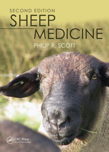 Sheep Medicine Cover Image