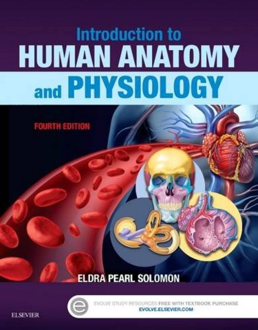 Introduction to Human Anatomy and Physiology Cover Image