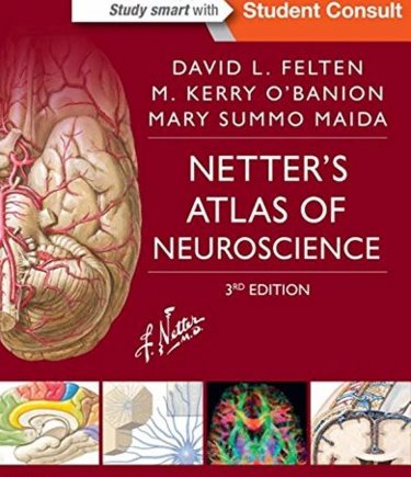 Netters Atlas of Neuroscience. Text with Access Code (Student Consult) Cover Image