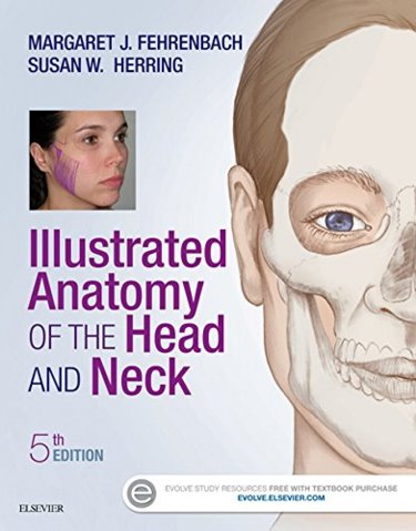 Illustrated Anatomy of the Head and Neck Cover Image