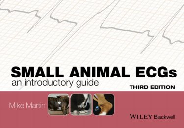 Small Animal ECGs: An Introductory Guide Cover Image