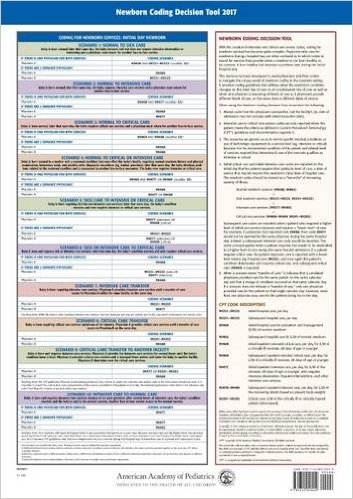 Newborn Coding Decision Tool 2017. 12 X 17 Laminated Chart Cover Image