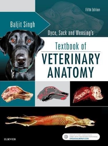 Dyce, Sack and Wensings Textbook of Veterinary Anatomy Cover Image