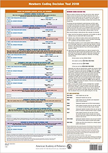 Newborn Coding Decision Tool 2018. 12 X 17 Laminated Chart Cover Image