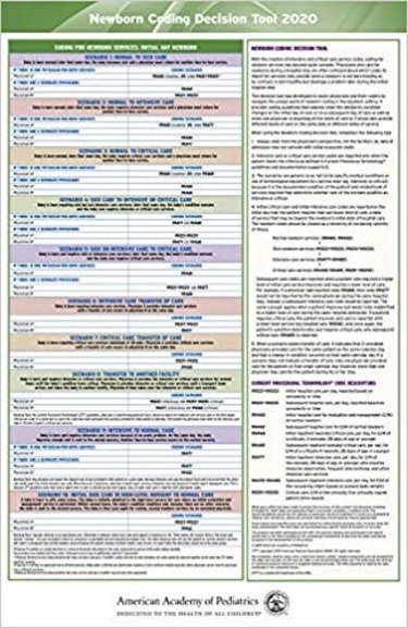 Newborn Coding Decision Tool 2020 Cover Image