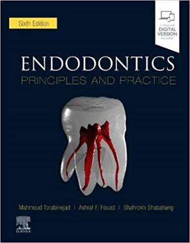 Endodontics: Principles and Practice. Text with Access Code (Expert Consult) Cover Image