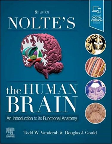 Noltes the Human Brain: An Introduction to Its Functional Anatomy. Text with Access Code (Student Consult) Cover Image