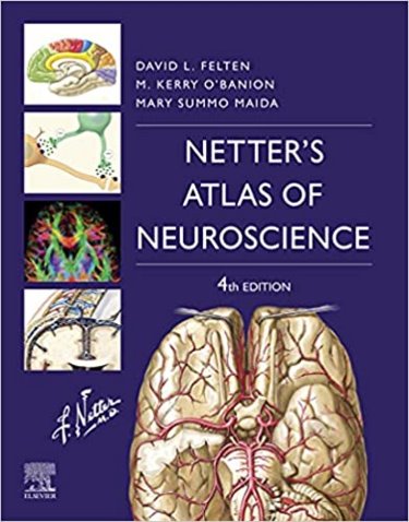 Netters Atlas of Neuroscience. Text with Access Code (Student Consult) Cover Image