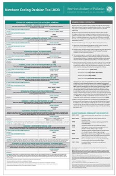 Newborn Coding Decision Tool 2023 Cover Image