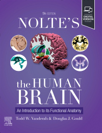 Noltes the Human Brain: An Introduction to Its Functional Anatomy. Text with Access Code Cover Image