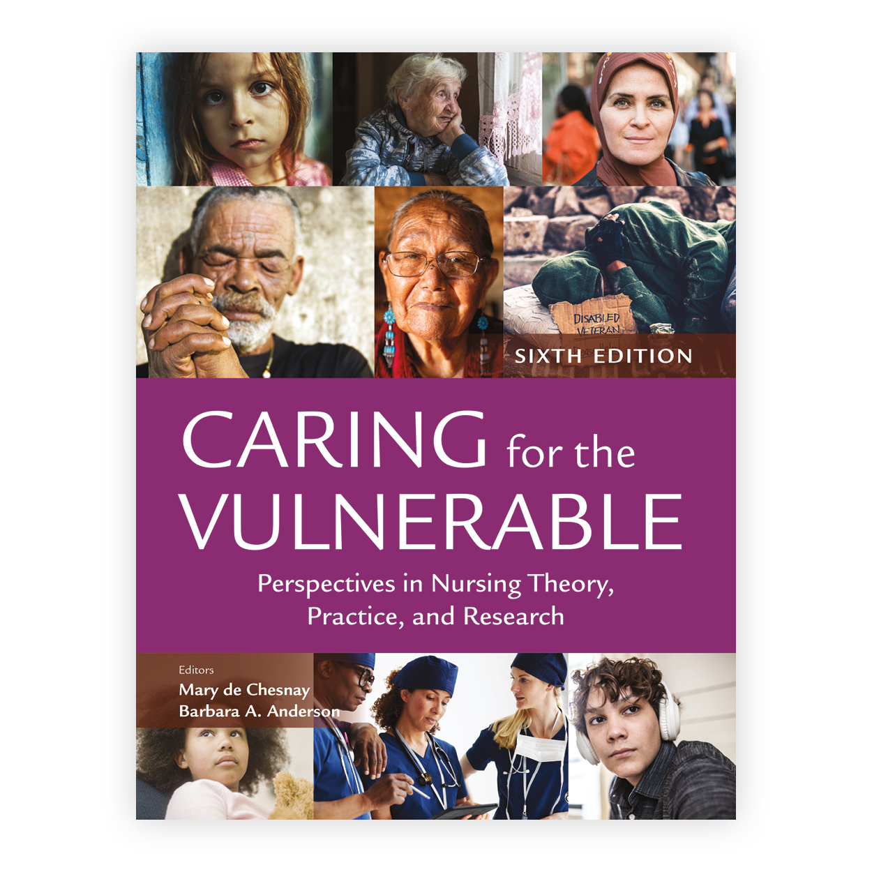 Caring for the Vulnerable: Perspectives in Nursing Theory, Practice, and Research Cover Image