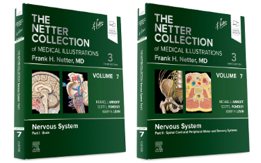 Netter Collection of Medical Illustrations: Nervous System Package. 2-Volume Set Cover Image