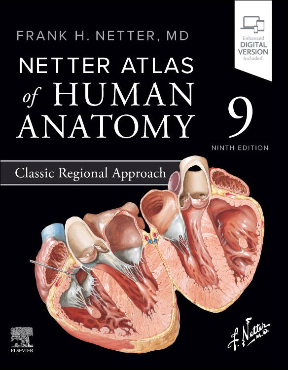 Netter Atlas of Human Anatomy: Classic Regional Approach. Text + Digital Version Cover Image