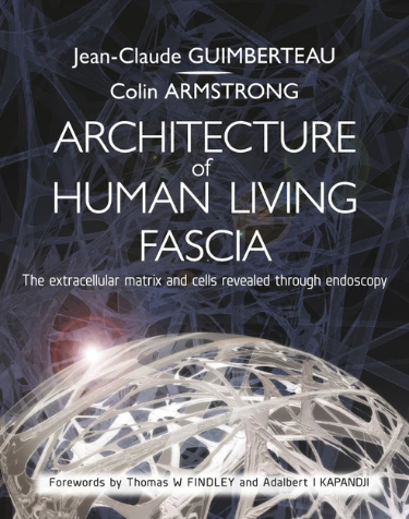 Architecture of Living Fascia: The Extracellular Matrix and Cells Revealed through Endoscopy Cover Image