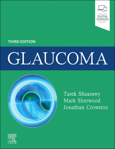 Glaucoma: Medical Diagnosis and Therapy. 2 Volume Set. Text with eBook Cover Image