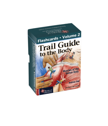 Trail Guide to the Body Flashcards: Muscles of the Human Body Cover Image