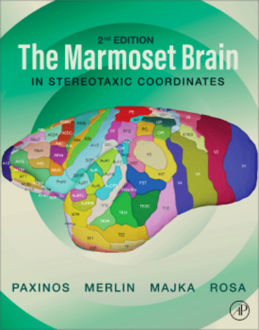 Marmoset Brain in Stereotaxic Coordinates Cover Image