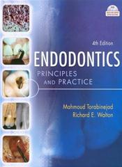 Endodontics: Principles and Practice. Text with DVD Cover Image
