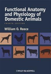 Functional Anatomy and Physiology of Domestic Animals Cover Image