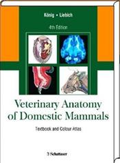 Veterinary Anatomy of Domestic Mammals: Textbook and Colour Atlas Cover Image