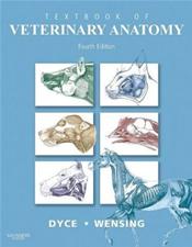 Textbook of Veterinary Anatomy Cover Image