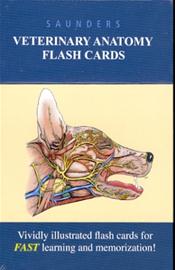 Saunders Veterinary Anatomy Flash Cards: Vividly Illustrated Flash Cards for FAST Learning and Memorization! Cover Image