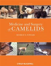 Medicine and Surgery Camelids Cover Image