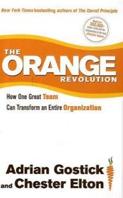 Orange Revolution: How One Great Team Can Transform an Entire Organization