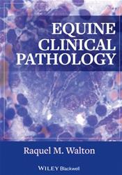 Equine Clinical Pathology Cover Image