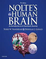 Noltes the Human Brain: An Introduction to Its Functional Anatomy. Text with Access Code (Student COnsult) Cover Image