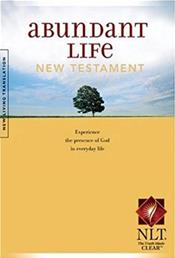 Abundant Life New Testament: Experience the Presence of God in Everyday Life