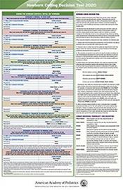 Newborn Coding Decision Tool 2020 Cover Image