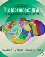 Marmoset Brain in Stereotaxic Coordinates Cover Image